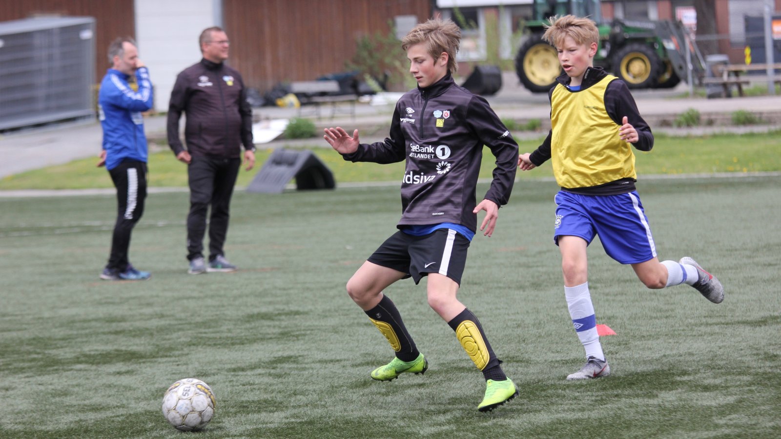 Koltuk kiygan mushukning yaqindan surati